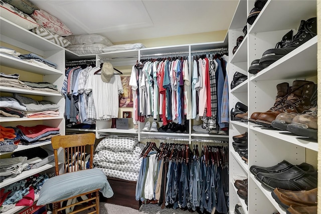 9619 Towanda Ln, Port Richey, FL 34668 - view of spacious closet