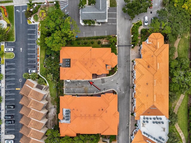 1340 Bayshore Blvd Unit 502, Dunedin, FL 34698 - aerial view
