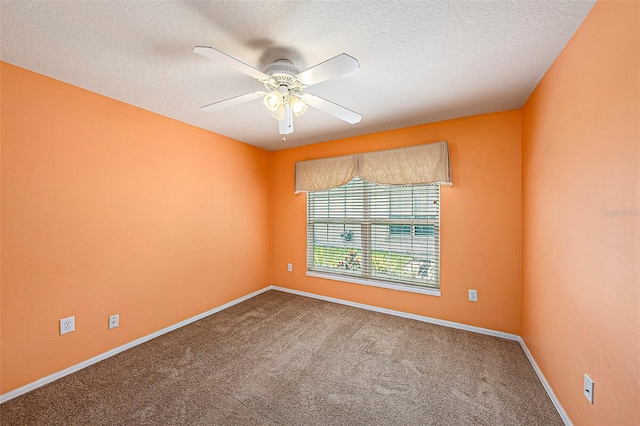 1914 Sassafras Dr, Wesley Chapel, FL 33543 - spare room featuring carpet flooring, a ceiling fan, and a textured ceiling