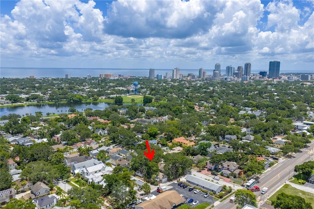 859 18th Ave N, Saint Petersburg, FL 33704 - photo 4