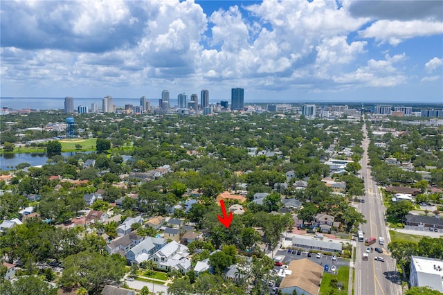 859 18th Ave N, Saint Petersburg, FL 33704 - photo 5