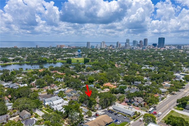 859 18th Ave N, Saint Petersburg, FL 33704 - photo 6