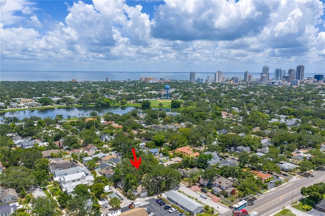 859 18th Ave N, Saint Petersburg, FL 33704 - photo 7