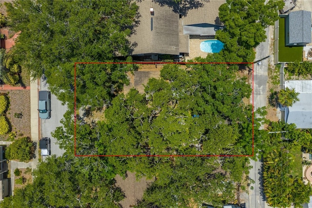859 18th Ave N, Saint Petersburg, FL 33704 - photo 8