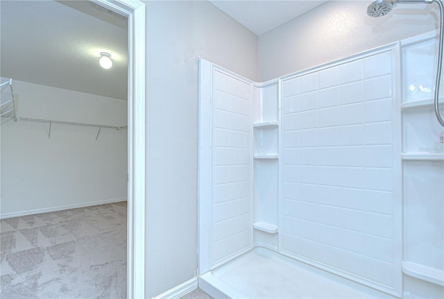 208 English Heritage Pl, Dover, FL 33527 - bathroom with a shower and a walk in closet