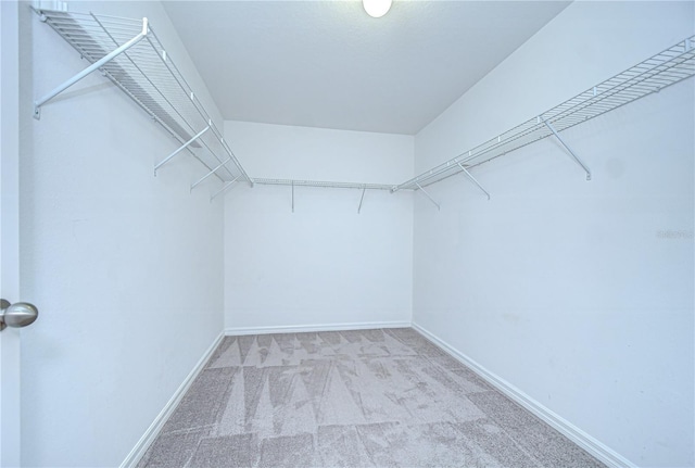 208 English Heritage Pl, Dover, FL 33527 - spacious closet with carpet flooring