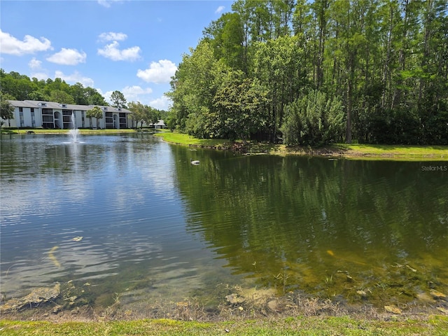 1281 Pine Ridge Cir E Unit B1, Tarpon Springs, FL 34688 - photo 3