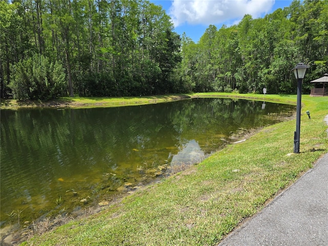 1281 Pine Ridge Cir E Unit B1, Tarpon Springs, FL 34688 - photo 6