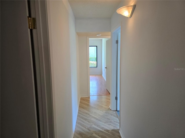 1281 Pine Ridge Cir E Unit B1, Tarpon Springs, FL 34688 - photo 17