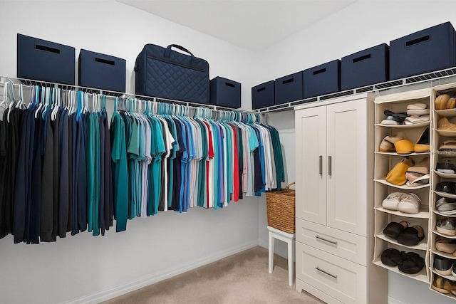12835 Wildflower Meadow Dr, Riverview, FL 33579 - spacious closet featuring light carpet