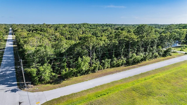 Withers Rd, Tarpon Springs, FL 34688