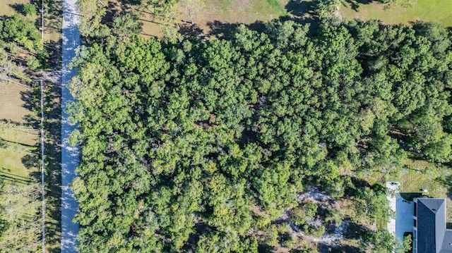 Withers Rd, Tarpon Springs, FL 34688