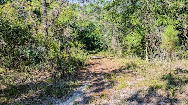 Withers Rd, Tarpon Springs, FL 34688