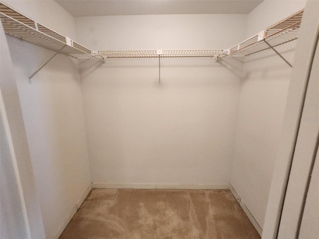 400 64th Ave Unit 1105, St Pete Beach, FL 33706 - walk in closet featuring light carpet