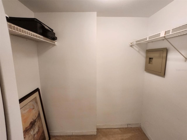 400 64th Ave Unit 1105, St Pete Beach, FL 33706 - spacious closet with carpet floors and electric panel