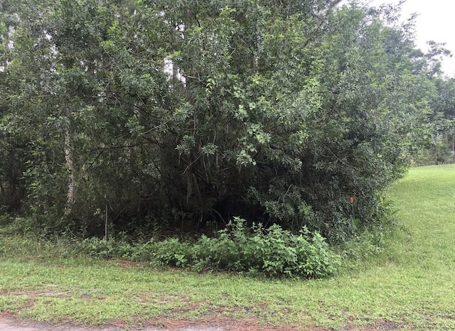 24 Amaryllis Dr, Indian Lake Estates, FL 33855 - photo 3