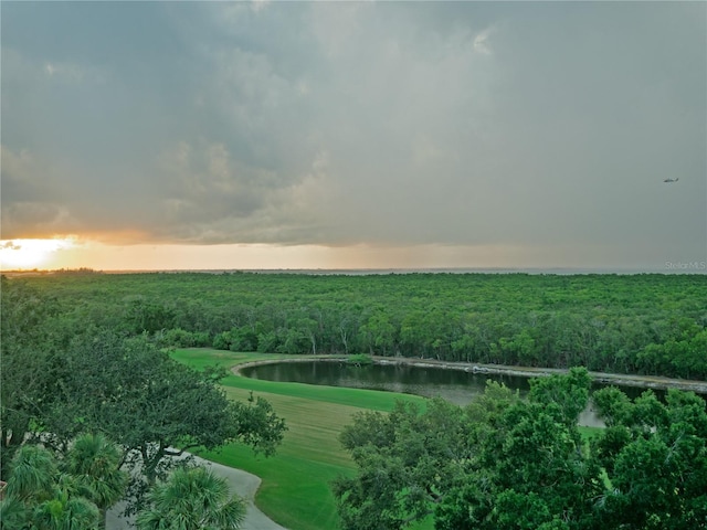 2333 Feather Sound Dr Unit B609, Clearwater, FL 33762 - photo 34