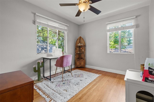 1080 16th Ave N, Saint Petersburg, FL 33704 - photo 58
