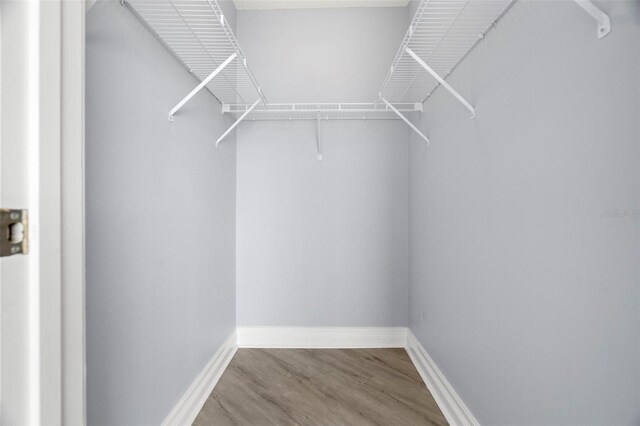 1209 E Cumberland Ave Unit 604, Tampa, FL 33602 - photo 22