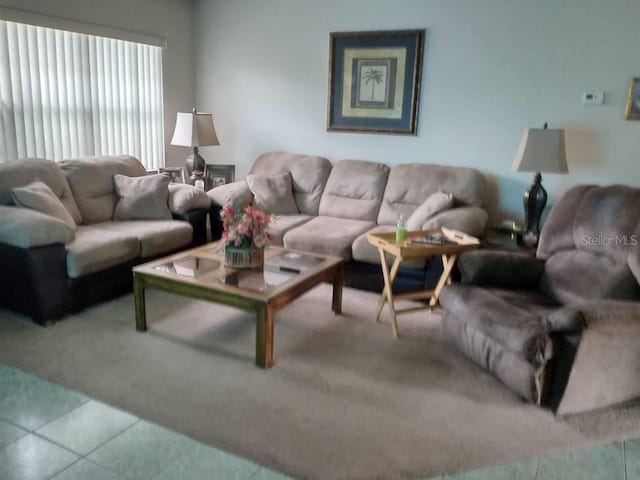 432 Flamingo Dr, Apollo Beach, FL 33572 - carpeted living room featuring tile patterned flooring