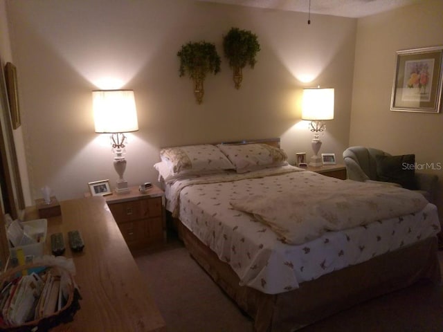 432 Flamingo Dr, Apollo Beach, FL 33572 - bedroom featuring light carpet
