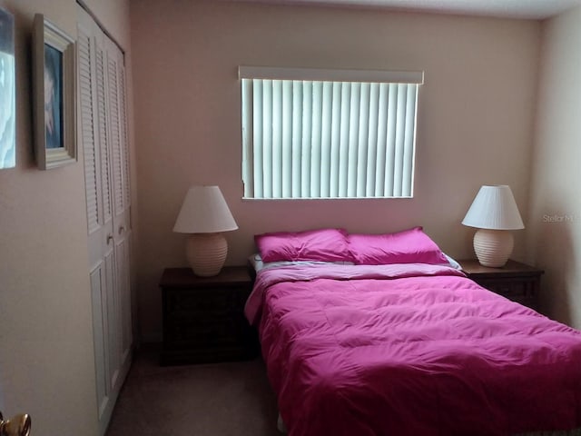 432 Flamingo Dr, Apollo Beach, FL 33572 - carpeted bedroom with a closet