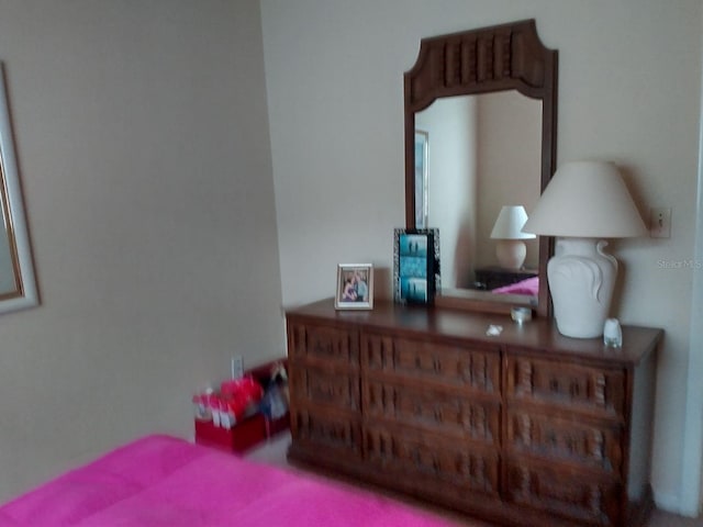 432 Flamingo Dr, Apollo Beach, FL 33572 - view of bedroom