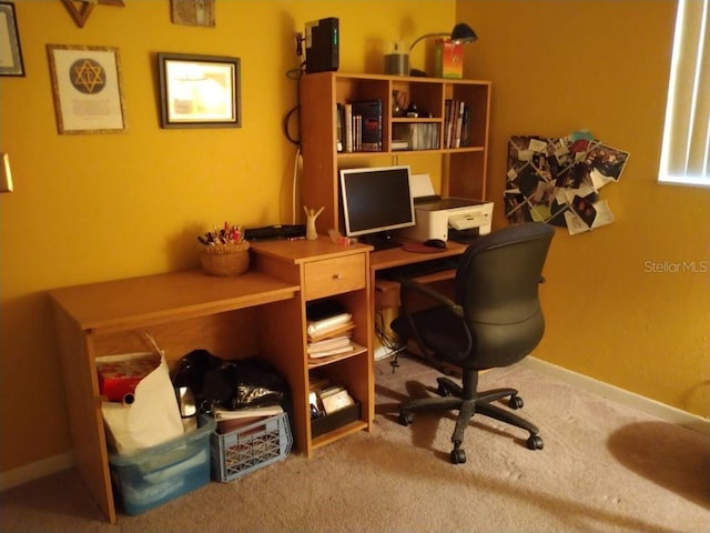 432 Flamingo Dr, Apollo Beach, FL 33572 - home office with carpet flooring and baseboards