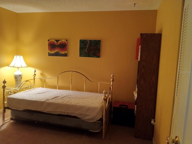 432 Flamingo Dr, Apollo Beach, FL 33572 - view of carpeted bedroom