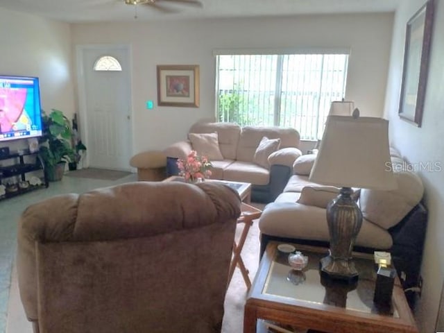 432 Flamingo Dr, Apollo Beach, FL 33572 - photo 7