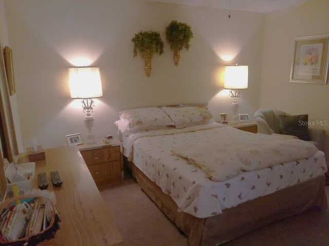 432 Flamingo Dr, Apollo Beach, FL 33572 - photo 17