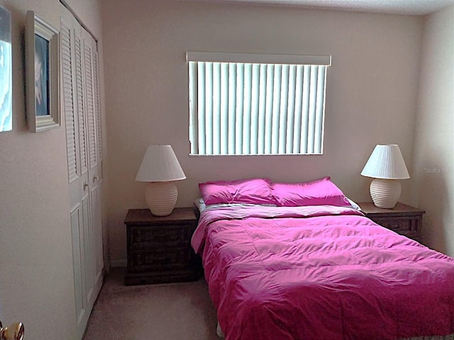 432 Flamingo Dr, Apollo Beach, FL 33572 - photo 21