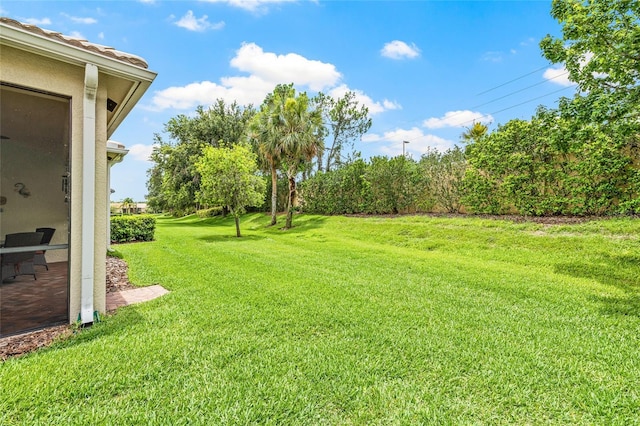 4911 Rock Island Ct, Wimauma, FL 33598 - view of grassy yard