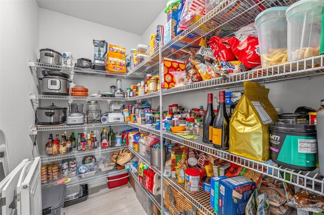 9815 Carabiner Way, Land O Lakes, FL 34637 - view of storage area