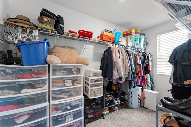 9815 Carabiner Way, Land O Lakes, FL 34637 - walk in closet featuring carpet floors