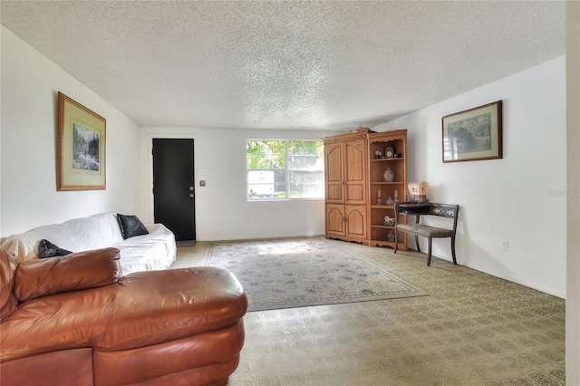 12631 Hobson Simmons Rd, Lithia, FL 33547 - living area with a textured ceiling