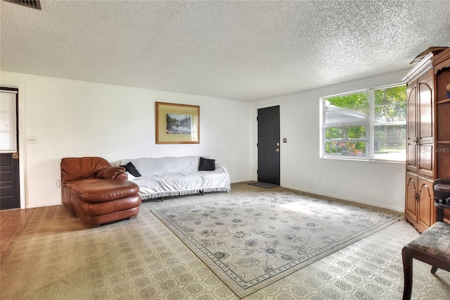 12631 Hobson Simmons Rd, Lithia, FL 33547 - living room featuring a textured ceiling
