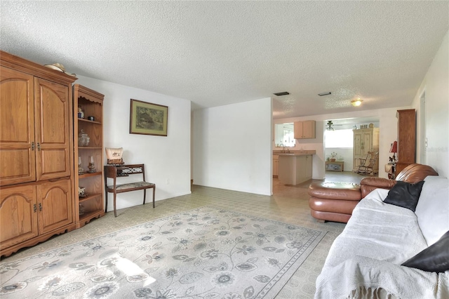 12631 Hobson Simmons Rd, Lithia, FL 33547 - living area featuring a textured ceiling