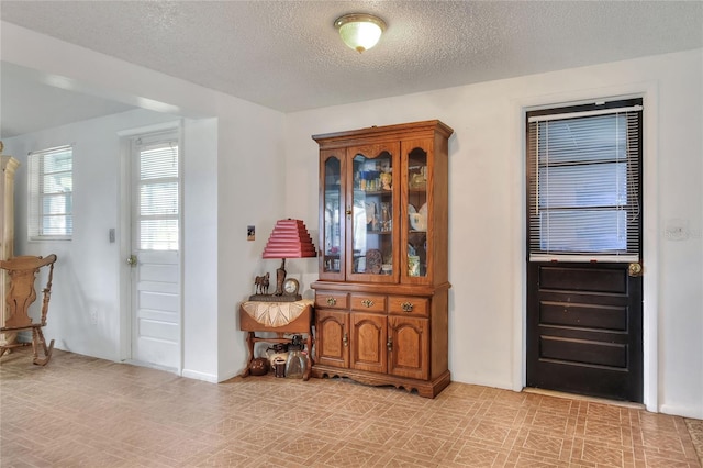 12631 Hobson Simmons Rd, Lithia, FL 33547 - entryway featuring a textured ceiling