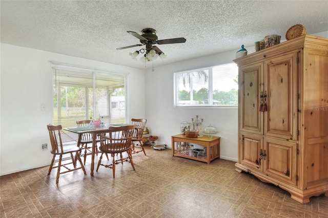 12631 Hobson Simmons Rd, Lithia, FL 33547 - dining room featuring ceiling fan, a textured ceiling, and light floors