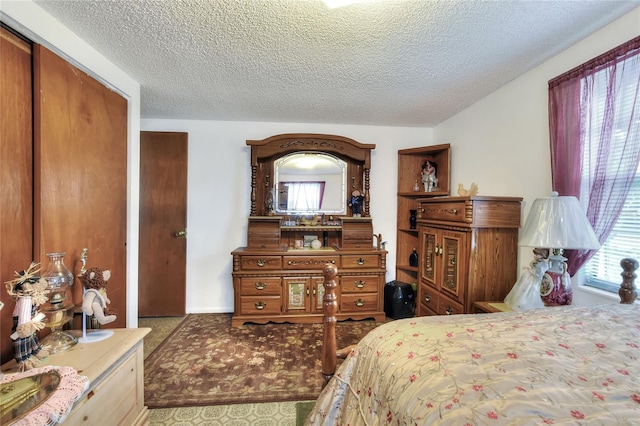 12631 Hobson Simmons Rd, Lithia, FL 33547 - bedroom with carpet flooring, a textured ceiling, and a closet