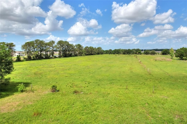 12631 Hobson Simmons Rd, Lithia, FL 33547 - view of yard featuring a rural view