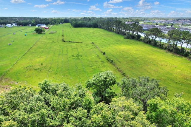 12631 Hobson Simmons Rd, Lithia, FL 33547 - aerial view of sparsely populated area