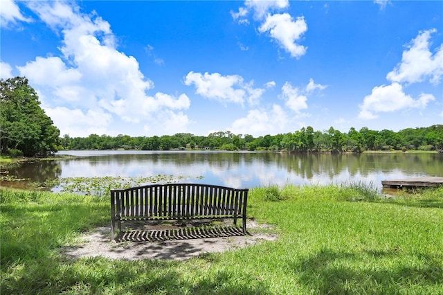 5103 Puritan Cir Unit 5103, Tampa, FL 33617 - photo 28