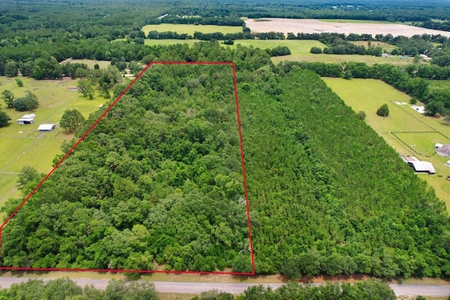 SW Bethlehem Ave, Fort White, FL 32038