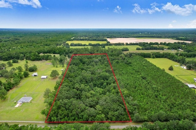SW Bethlehem Ave, Fort White, FL 32038