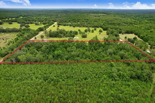 SW Bethlehem Ave, Fort White, FL 32038