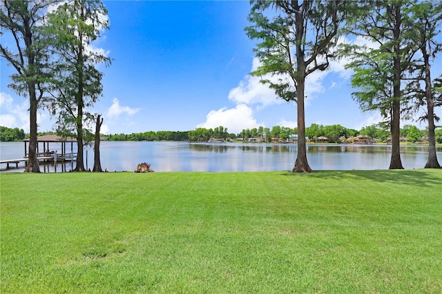 3145 Lake Ellen Dr Unit 3145, Tampa, FL 33618 - photo 38