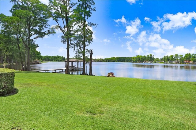 3145 Lake Ellen Dr Unit 3145, Tampa, FL 33618 - photo 39