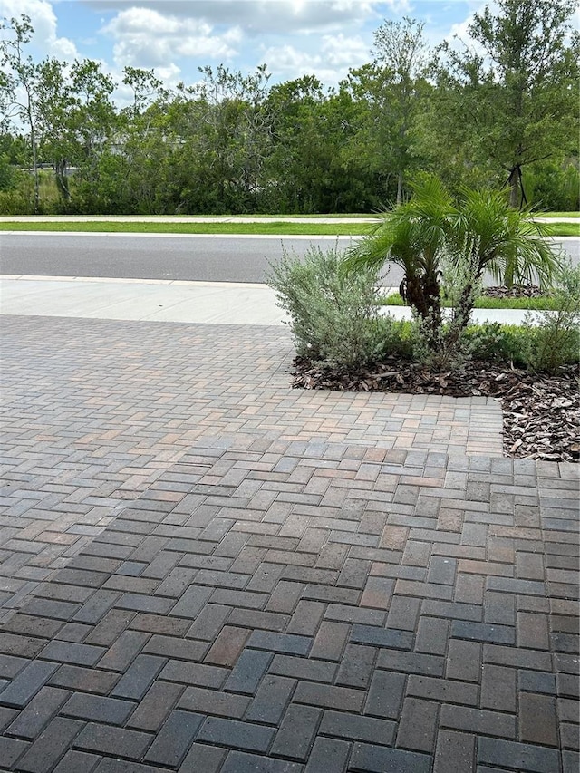 10864 Banyan Breeze Blvd, Land O Lakes, FL 34638 - view of patio